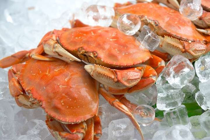 how long can you keep cooked crab on ice
